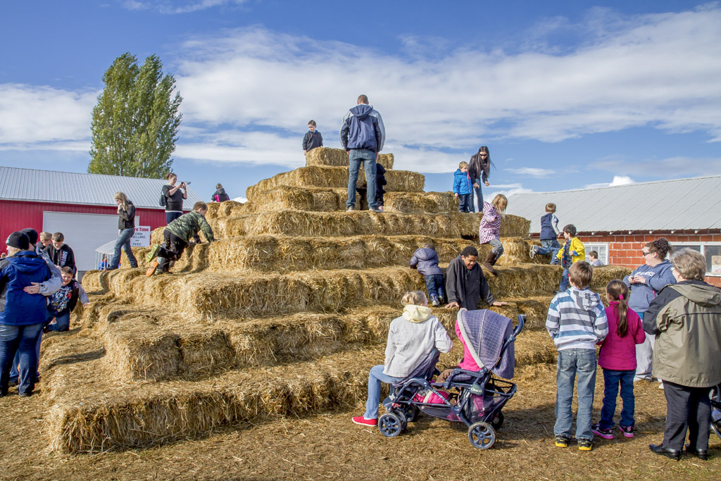 Numerous pumpkin patches around the southwest Washington and Portland/Vancouver Metro areas include seasonal activities such as hay bale mazes, corn mazes, hayrides and more. Photo by Mike Schultz