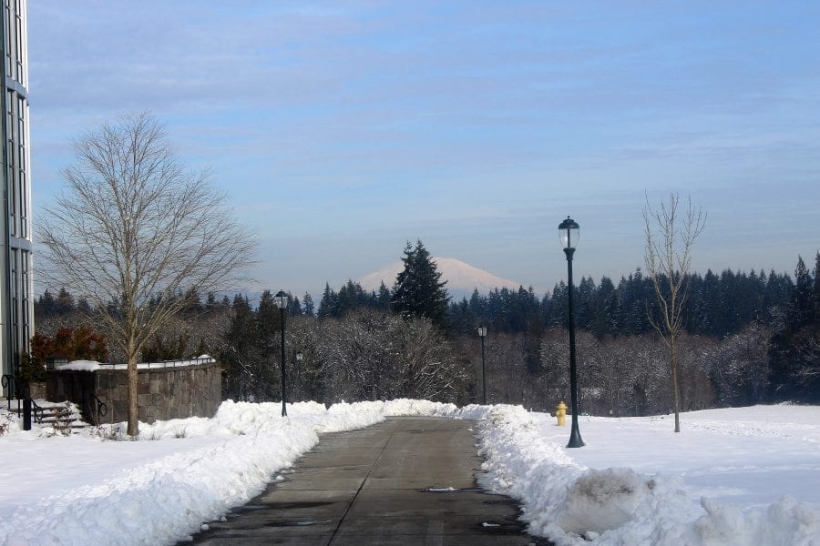 Cities and organizations around the Clark County area have canceled meetings that were scheduled for this evening, and many municipalities are closing city and government offices early or have already closed. Photo by Joanna Yorke