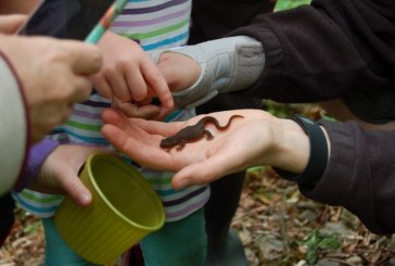 Slither, crawl or hop to the Water Center’s Critter Count on April 8