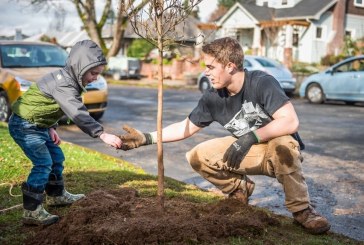Great trees create great streets: Vancouver celebrates Arbor Month