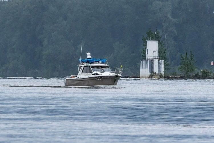 The fishery for summer chinook salmon reopened Friday and is scheduled to run through July 31 on the lower Columbia River. Photo by Mike Schultz