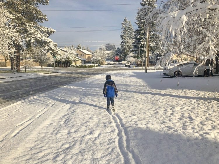 This youngster used part of his morning to venture out along NE 39th Ave. in east Vancouver Wednesday morning, where more than an inch of snow had accumulated overnight. Photo by Andi Schwartz