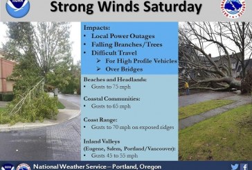 Wind storm set to slam Clark County on Saturday