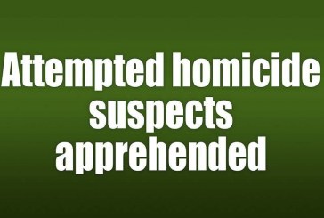 Attempted homicide suspects apprehended