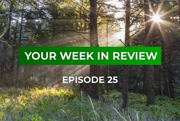 Your Week in Review - Episode 25 • August 31, 2018