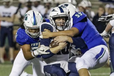 Mountain View nearly reaches perfection in playoff victory