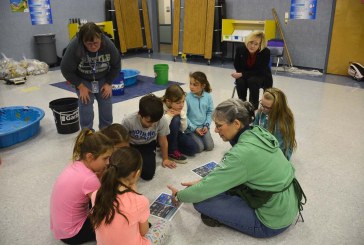 Gause Elementary reduces waste through Clark County Green Schools Program