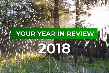 Your Year in Review: 2018