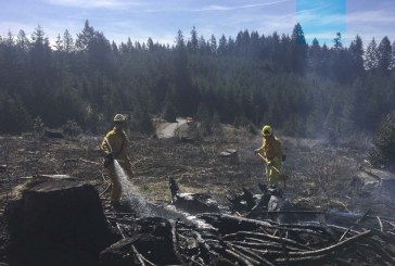 Fire District 3 crews respond to wildland fires
