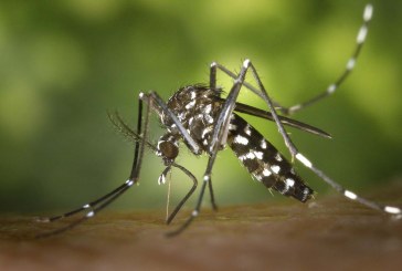 County officials urge residents to help control mosquitos