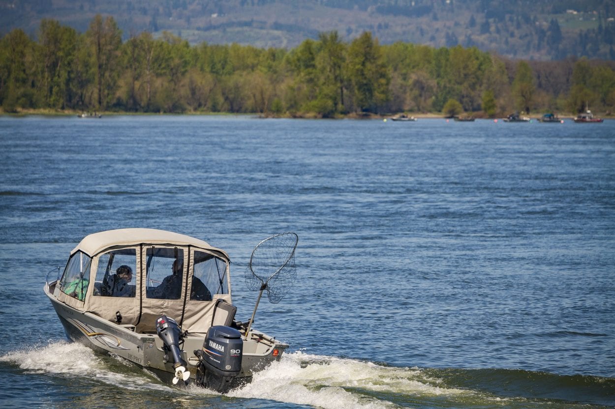 Washington’s 2019-2020 fishing regulations now available