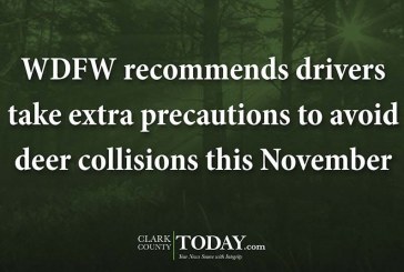 WDFW recommends drivers take extra precautions to avoid deer collisions this November