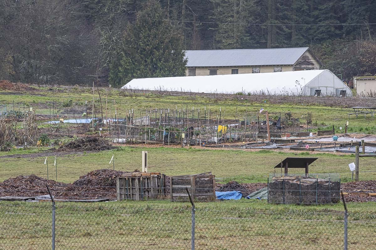 The farm produces a large amount of fresh food every year for the Clark County Food Bank, as well as offers programs for school children and veterans. Photo by Mike Schultz