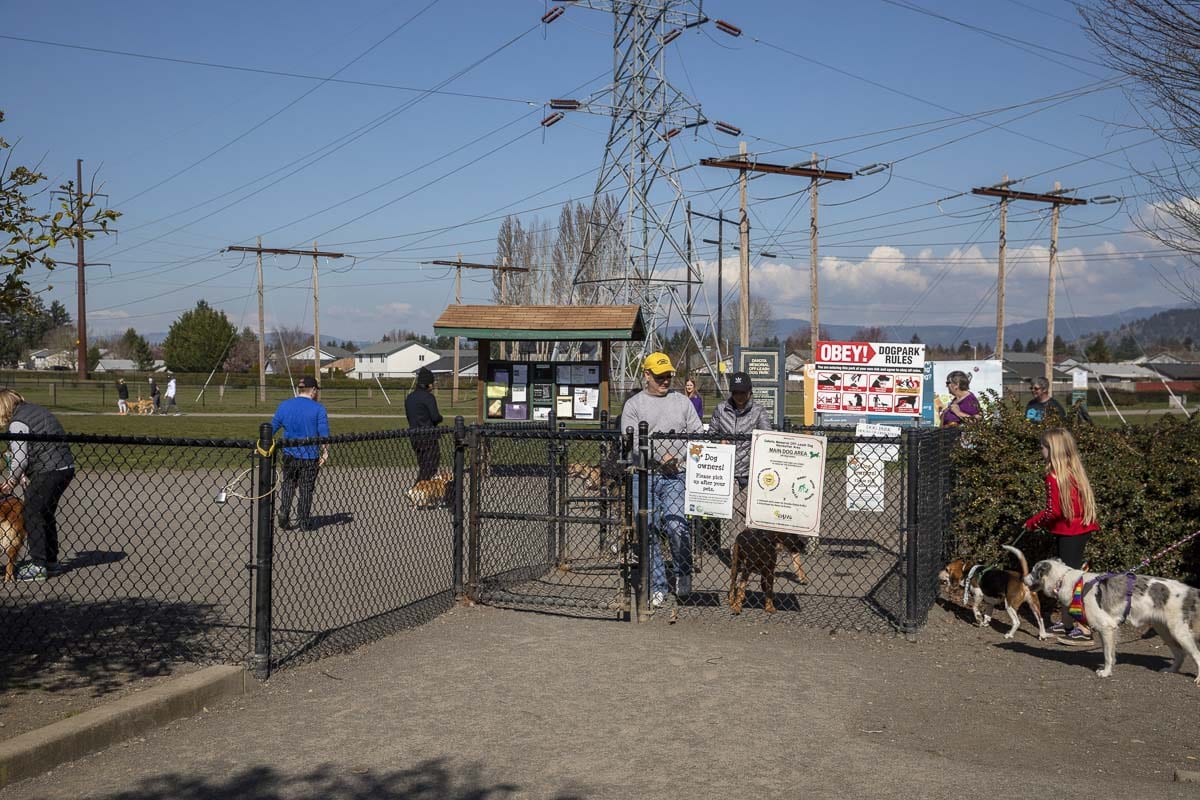 Dog owners gather at Pacific Community Park’s dog park area in Vancouver during the COVID-19 outbreak. Photo by Jacob Granneman