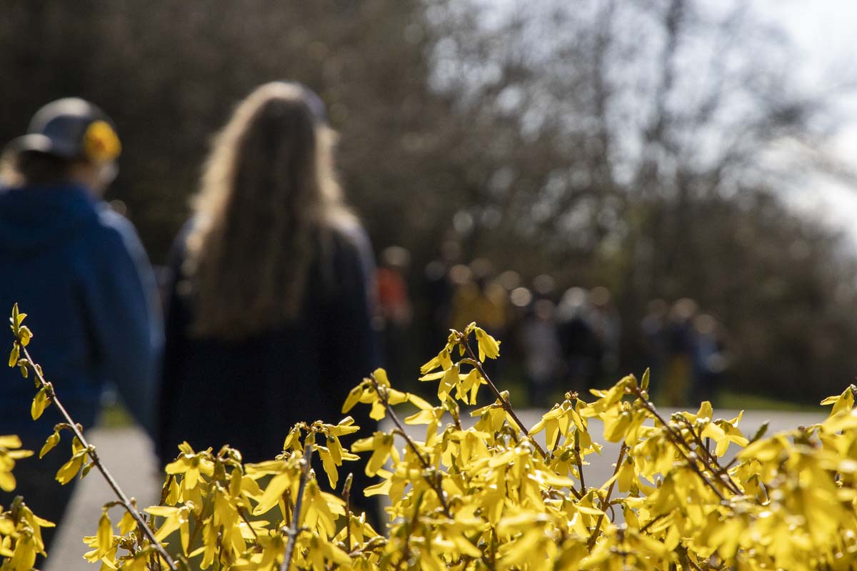 Yellow flowers, Rosa’s favorite color, lined the driveway to Hockinson Apostolic Lutheran Church, where a funeral was held on Wednesday for the Battle Ground mother and her 5-year-old daughter. Photo by Chris Brown