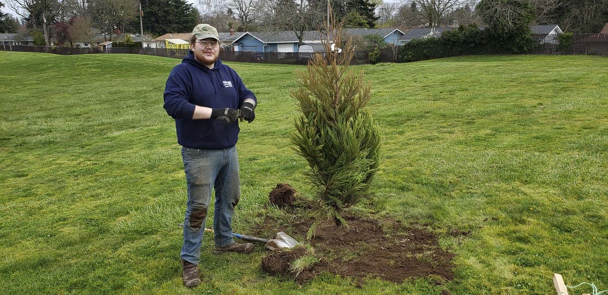 Vancouver Urban Forestry intern Matt McLean plants one of this year's trees at the Volunteer Grove. Photo courtesy of Vancouver Parks and Recreation