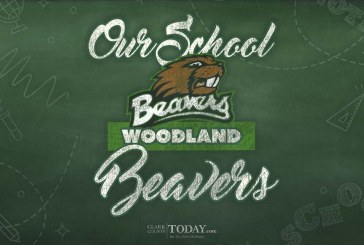 Our school: Woodland Beavers