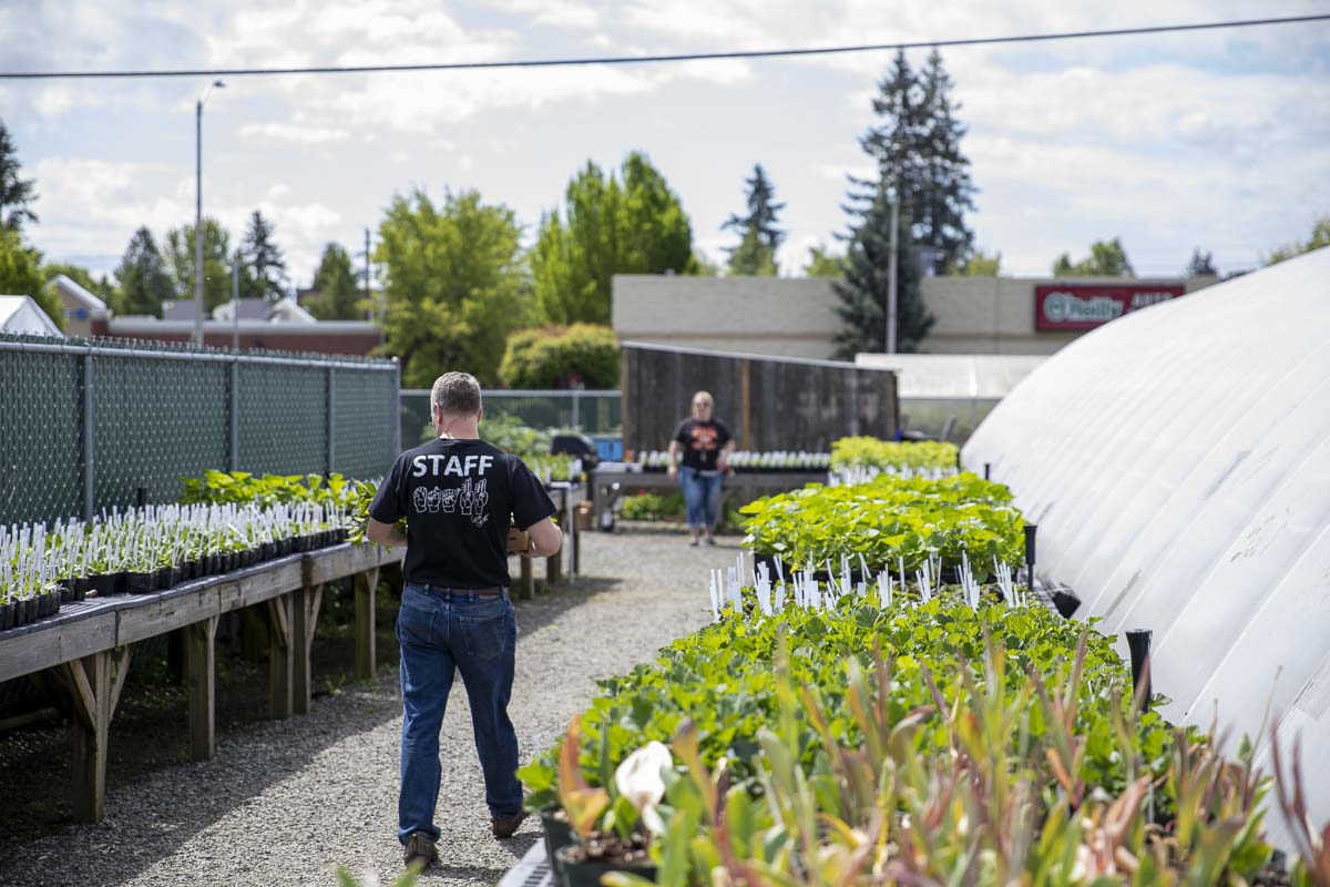 Teams of staff members, teachers, and volunteers helped move the Battle Ground School District’s annual plant sale online this year. Photo by Jacob Granneman