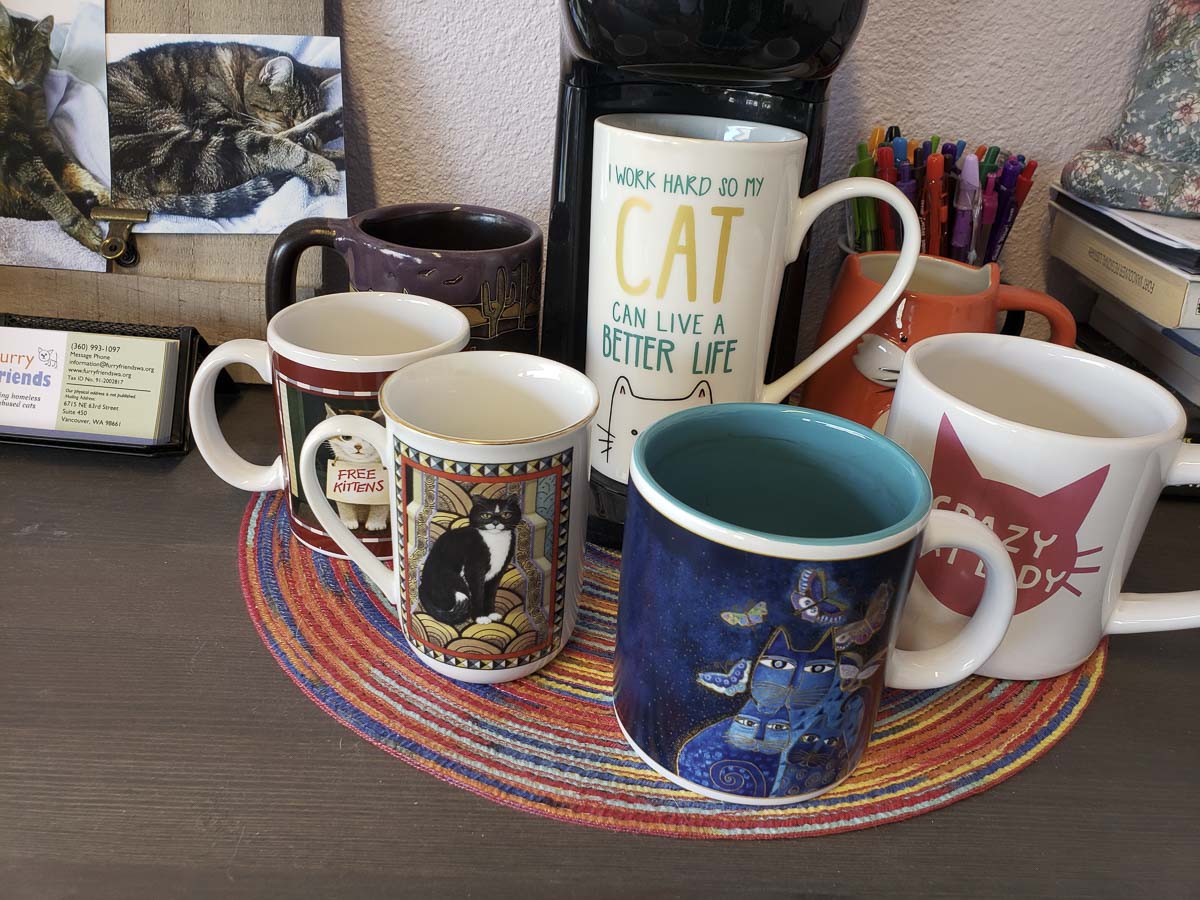 Even the coffee mugs celebrate all things cat at Cats Play While You’re Away. Photo by Paul Valencia