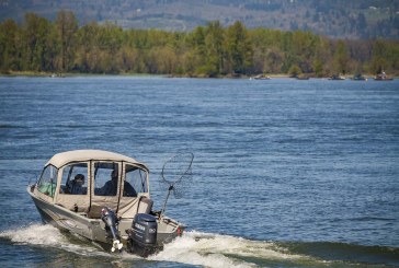 Columbia River to open for four days of spring Chinook salmon fishing