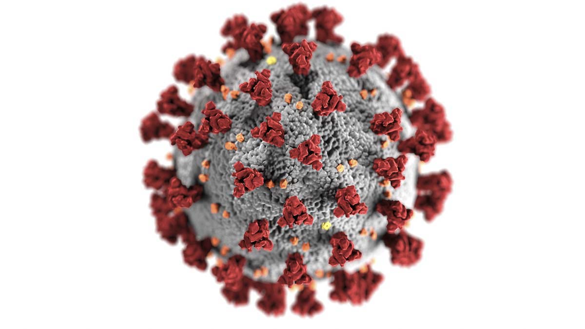 A computer rendering of the novel coronavirus SARS-CoV-2. Image courtesy Centers for Disease Control (CDC)