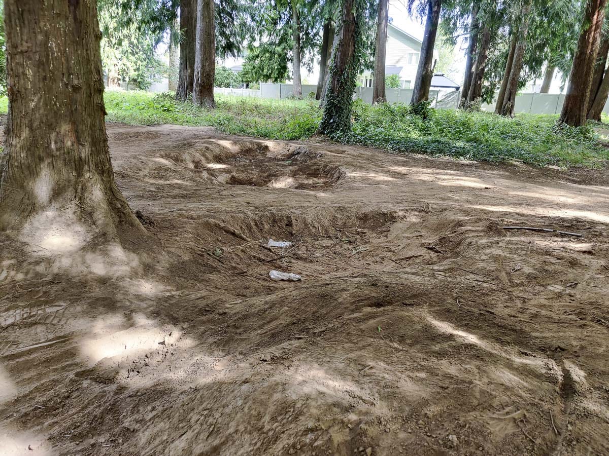 Holes have been dug under cedar trees inside Battle Ground’s Cedar Trails Park, exposing the roots and potentially damaging the plants. Photo by Chris Brown