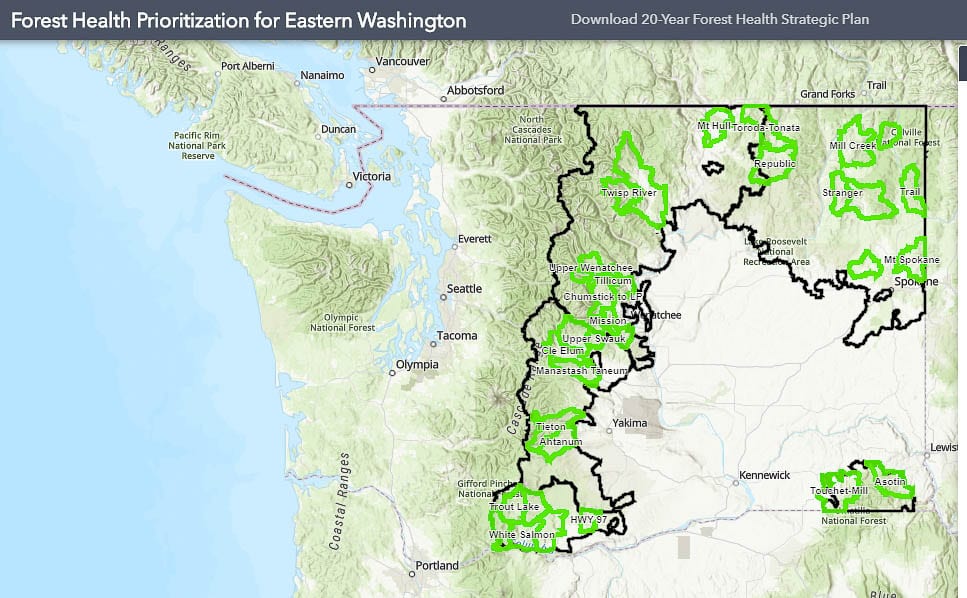The Department of Natural Resources shows forest lands that are a “high priority” in the 20-year plan proposed by Washington State Public Lands Commissioner Hilary Franz. Graphic courtesy of DNR website