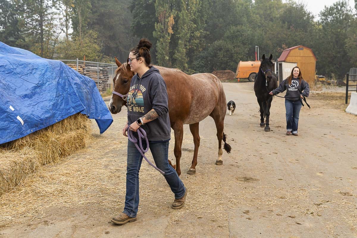 Local volunteer Amanda Vincent (foreground) and Kati Anderson of Estacada walk evacuated horses at Clark County Fairgrounds. Photo by Mike Schultz