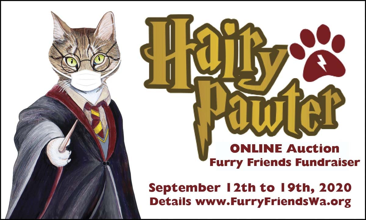Furry Friends is hosting its 12th annual auction fundraiser. Volunteers of the organization made the decision to switch to an online auction this year, which will be held through Sept. 19.