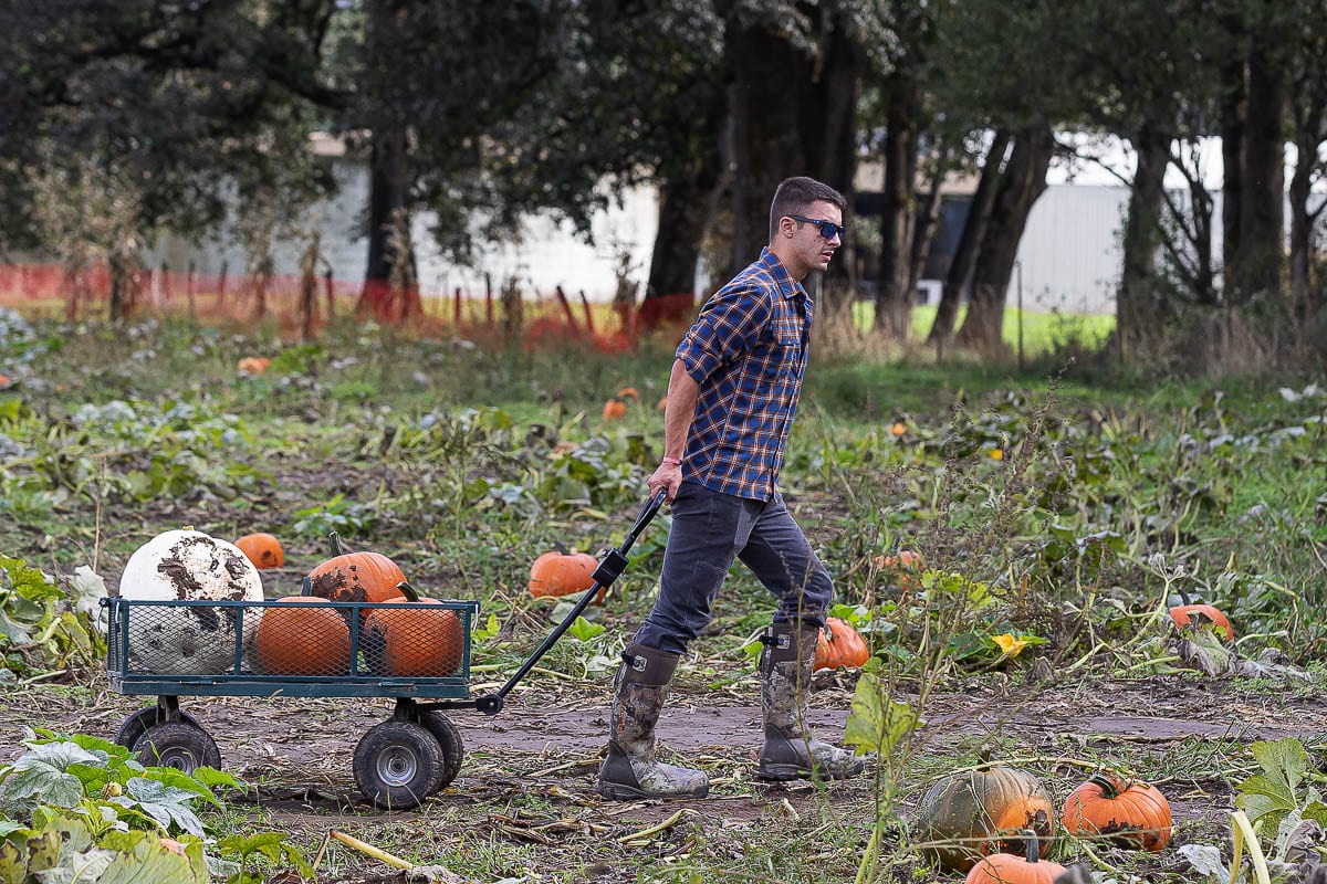 Drew Gustafson of Vancouver pulls back his pumpkin finds after hunting through The Patch’s fields. Photo by Mike Schultz