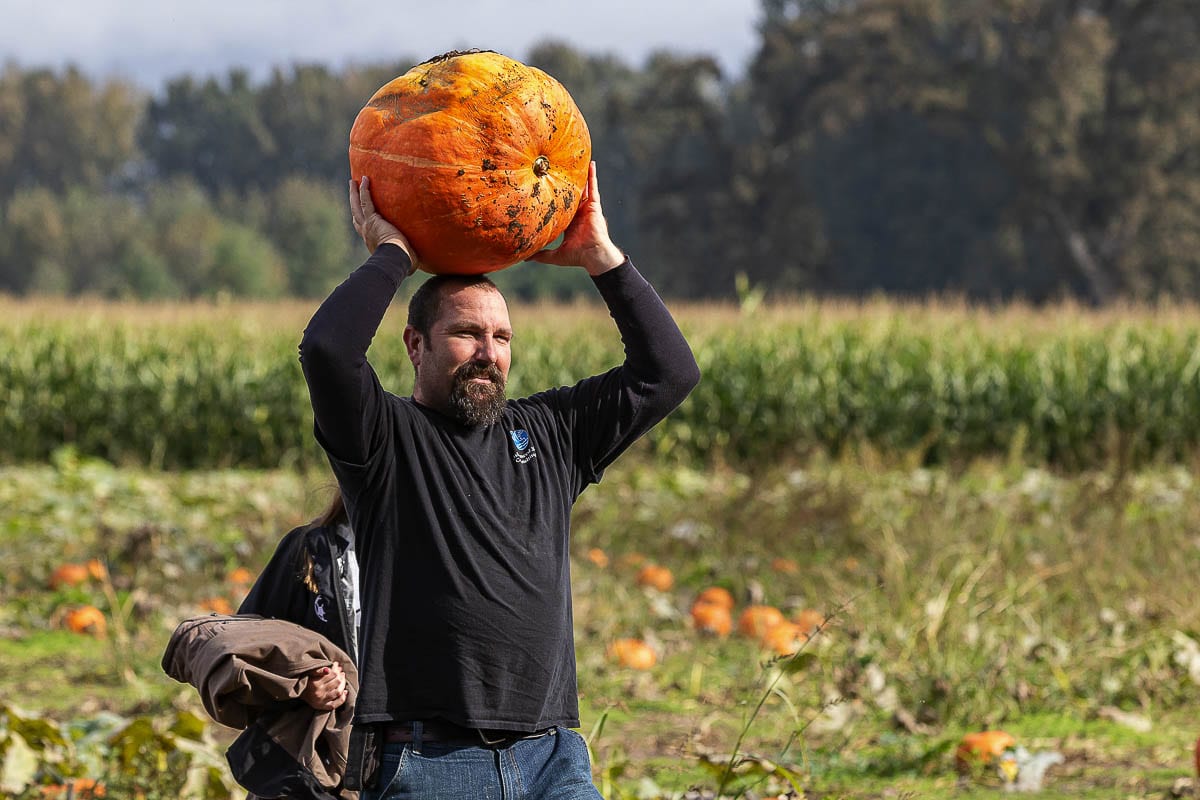 Travis Buck of Woodland carries his monster pumpkin back from the fields while at The Patch. Photo by Mike Schultz