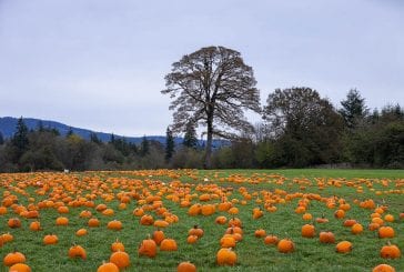 VIDEO: Heart of the Harvest 2020 — Vancouver Pumpkin Patch