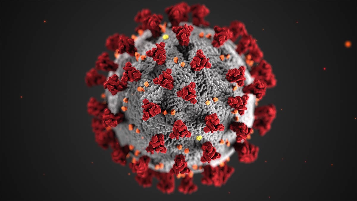 A 3D model of the novel coronavirus SARS-CoV-2. Image courtesy Centers for Disease Control and Prevention