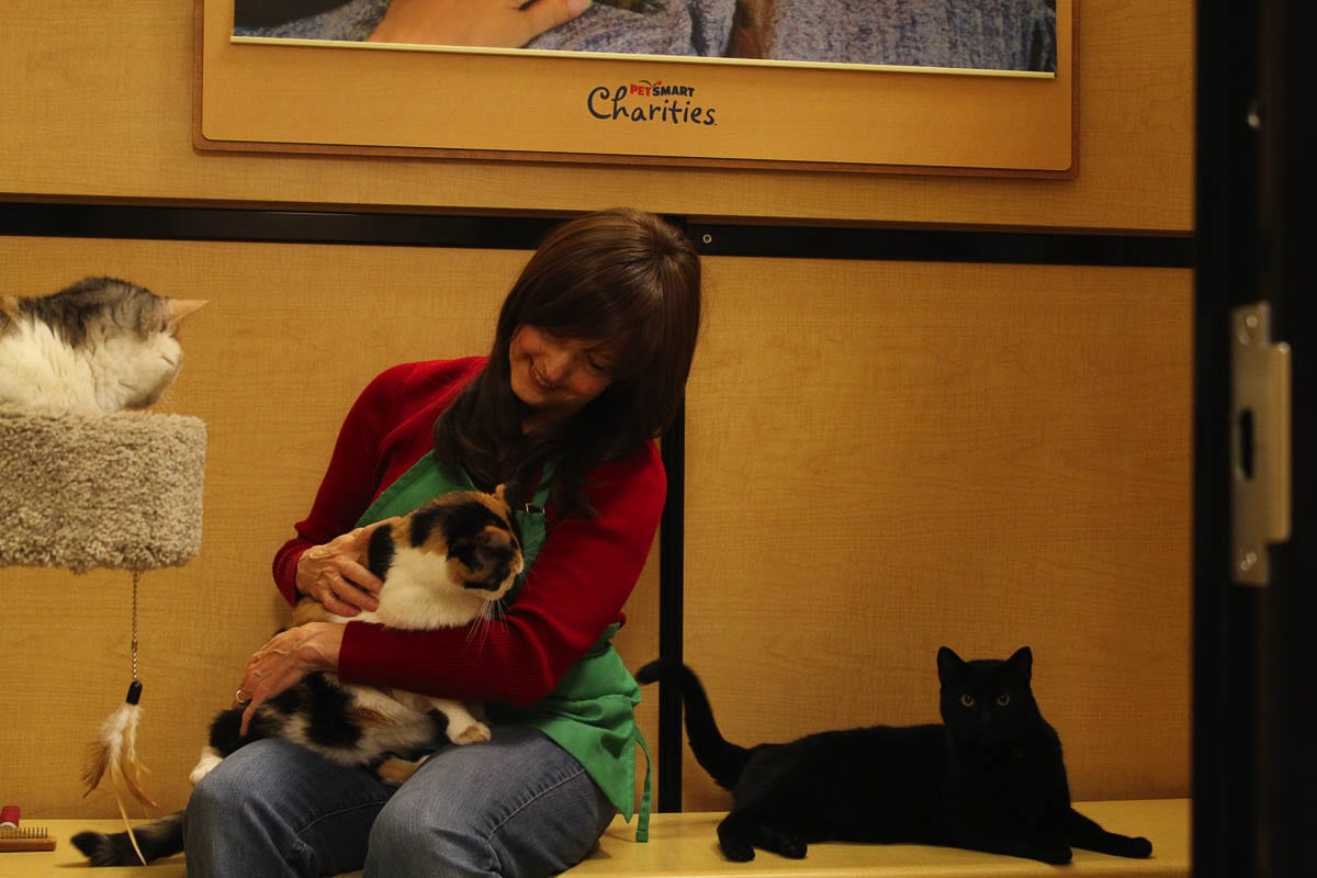 Diane Stevens during her volunteer shift at the Furry Friends Adoption Center