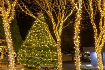 Washougal Tree Lighting ceremony held as a virtual event