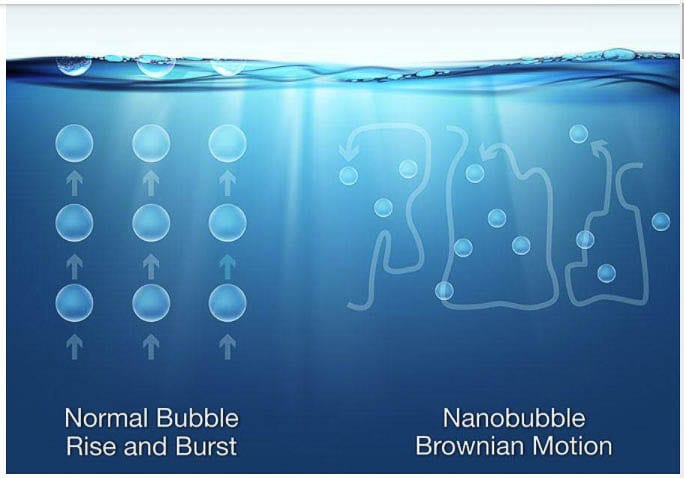 Nanobubbles do not rise to the surface but remain dissolved in the water. This adds oxygen which increases water quality and helps to break down phosphorus and other harmful nutrients. Graphic from Moleaer