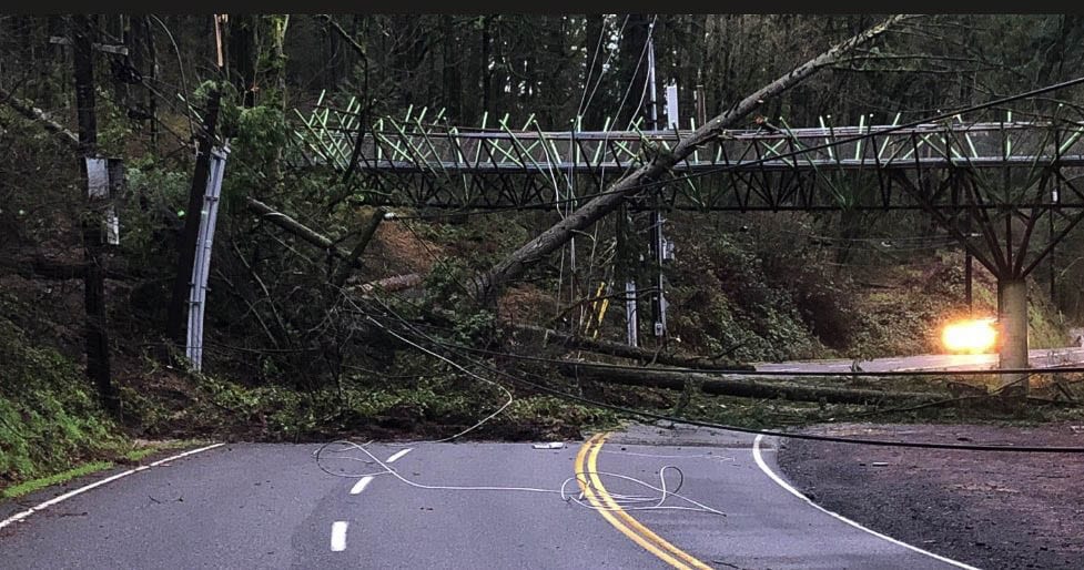 Trees and powerlines were brought down by a debris slide on West Burnside west of Portland overnight, damaging a foot bridge. Photo courtesy Portland Parks and Rec