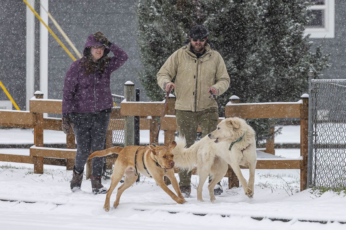 Marcus Davis and Shareece Allen walk their dogs Ruby and Dante along 33rd Street on a snowy Friday morning. Photo by Mike Schultz