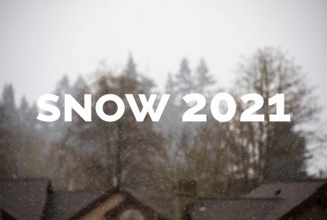 A Snow Story 2021: Some relief from the monotony