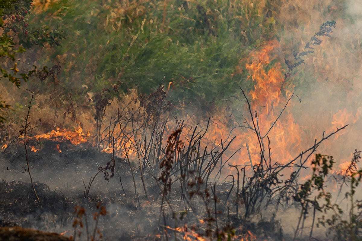 In an effort to prevent grass fires, Clark County Fire Marshal Dan Young has extended his current temporary burn ban until Tue., April 27 at 12:01 a.m. File photo