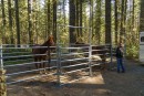 VIDEO: Rock Creek Horse Camp gets an upgrade with the help of loving volunteers