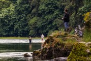 Anglers can fish for free June 12-13