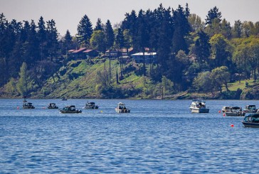 Herrera Beutler helps secure funding for salmon and steelhead protections on Columbia River
