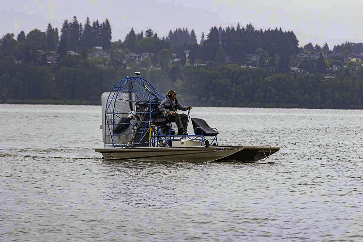 Friends of Vancouver Lake led a charge to treat the lake to get rid of Eurasion watermilfoil. Now, the organization says, another nasty weed — curly-leaf pondweed — needs to be managed. Photo by Mike Schultz