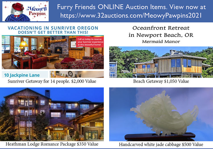 Furry Friends is hosting its 13th annual auction fundraiser. The organization’s volunteers made the decision to switch to an online auction this year, which will be held Sept. 15-18. There will be a lot of great items to bid on. 