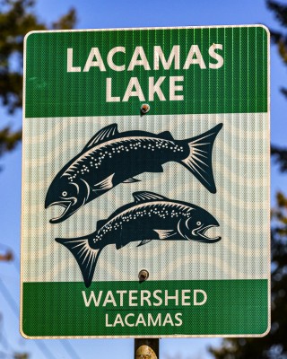 Clark County Public Health has lifted its blue-green algae advisories at Round Lake and Lacamas Lake in Camas. The blooms of cyanobacteria, also known as blue-green algae, at both lakes have dissipated.