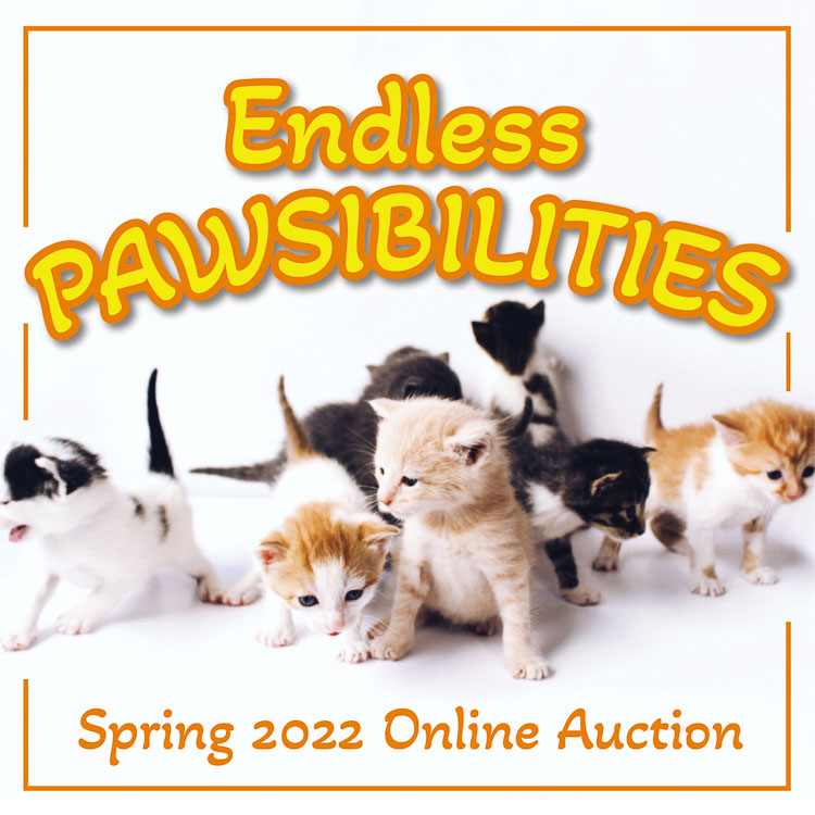 Furry Friends is hosting its 3rd annual spring online auction fundraiser. The festivities will begin at 5 p.m. on Fri., March 25 and will end on Sun., March 27 at 11 p.m. Items will continue to be loaded until the actual auction begins on March 25. Photo courtesy Diane Stevens