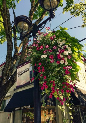 The Downtown Camas Association (DCA) invites area residents to adopt a flower basket to bring color and beauty to historic Downtown Camas this spring.