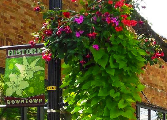 The Downtown Camas Association (DCA) invites area residents to adopt a flower basket to bring color and beauty to historic Downtown Camas this spring.