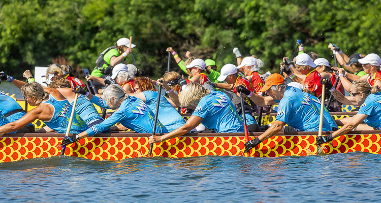 The Paddle for Life Dragon Boat Races will be part of the Ridgefield “Day of Festivals’’ Sat., Aug. 6. Photo by Mike Schultz